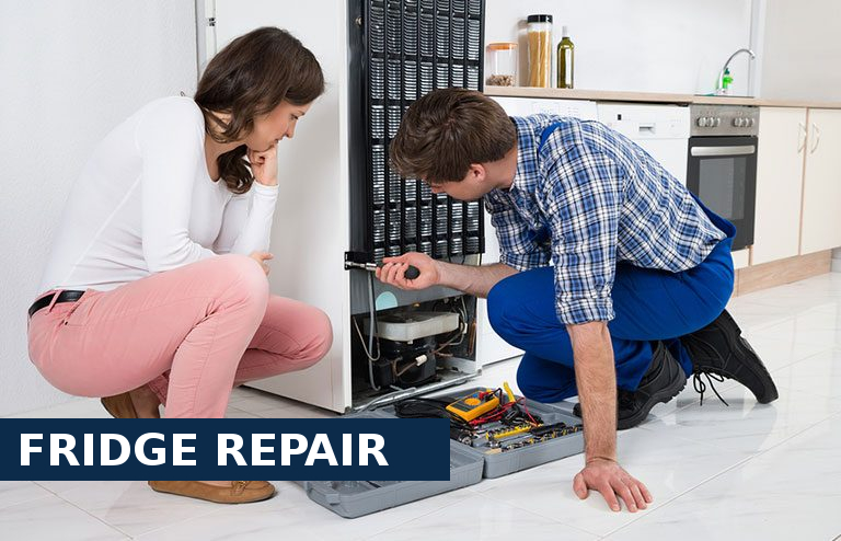 Fridge Repair Dulwich